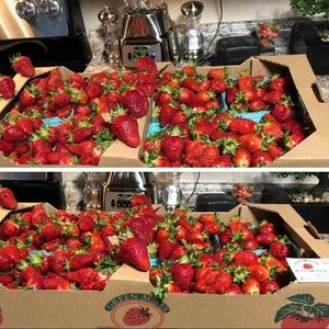 A sweet treat for Sheila